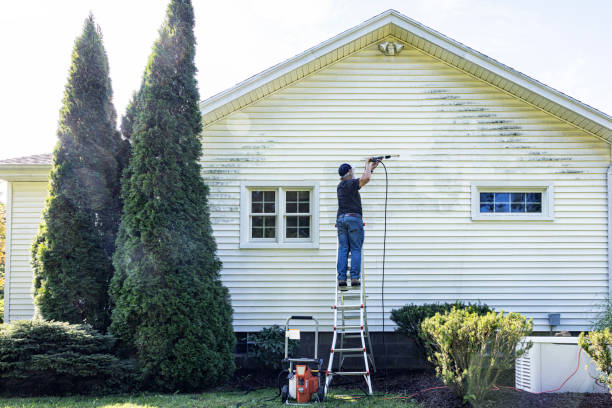 Best Deck Cleaning Services  in Mosinee, WI